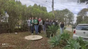 treinamento nr17